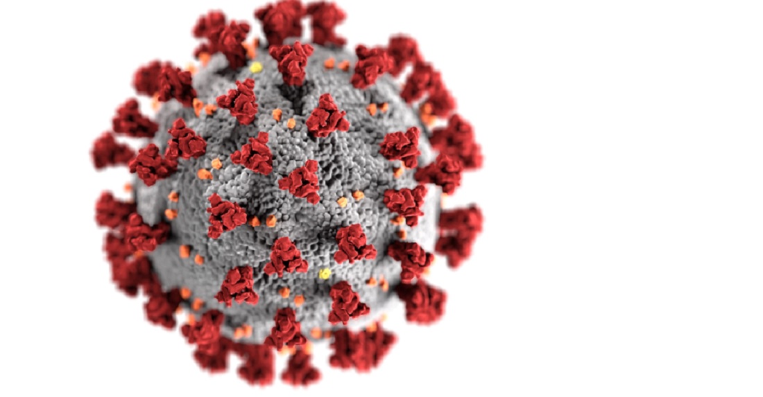 billede af coronavirus